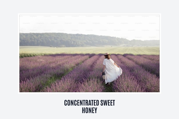 concentrated sweet honey