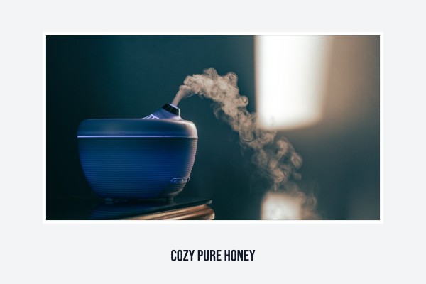 cozy pure honey