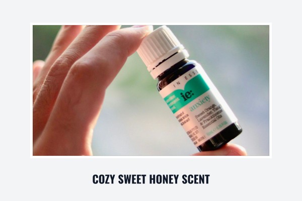 cozy sweet honey scent