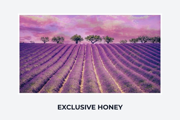 exclusive honey