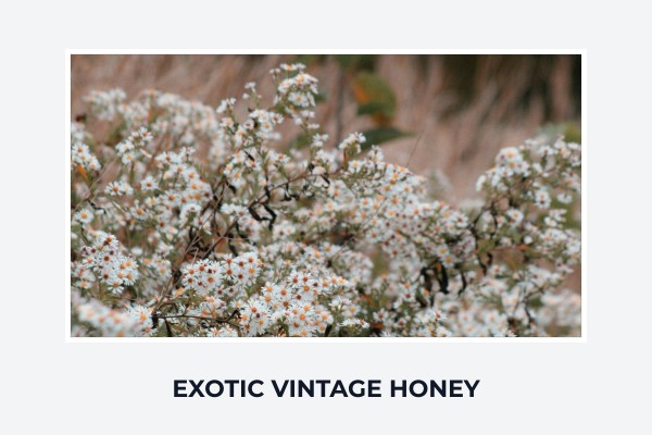 exotic vintage honey