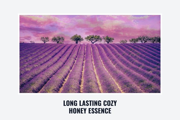 long lasting cozy honey essence