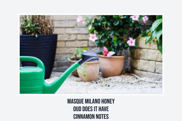 Masque Milano Honey Oud does it have cinnamon notes