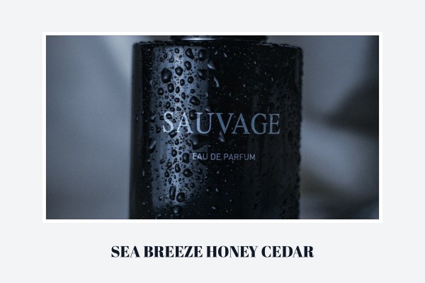 Sea - Breeze Honey Cedar
