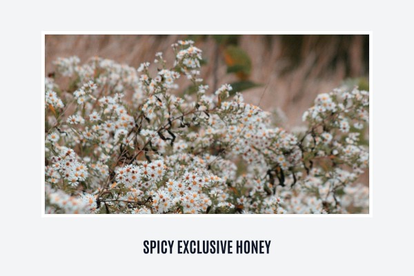 spicy exclusive honey